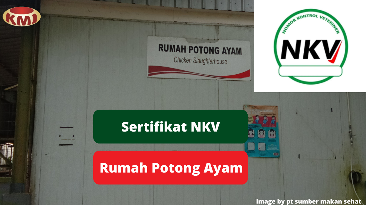 Ini Alasan Pentingnya Sertifikat NKV Pada Rumah Potong Ayam